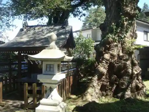 子安神社の建物その他