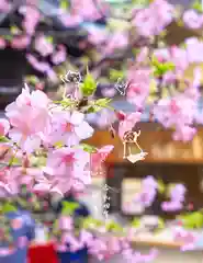 小野照崎神社の自然