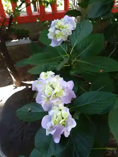 水鏡天満宮(福岡県)