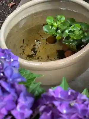 吾妻神社(群馬県)