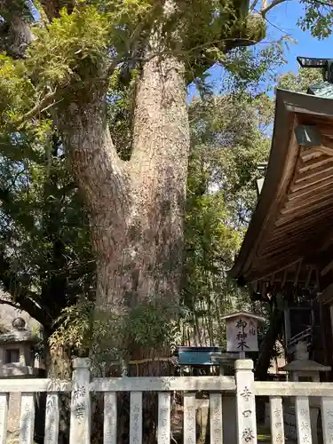 御坂神社(兵庫県)