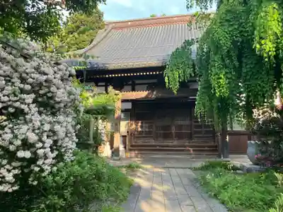 祇陀寺(岩手県)
