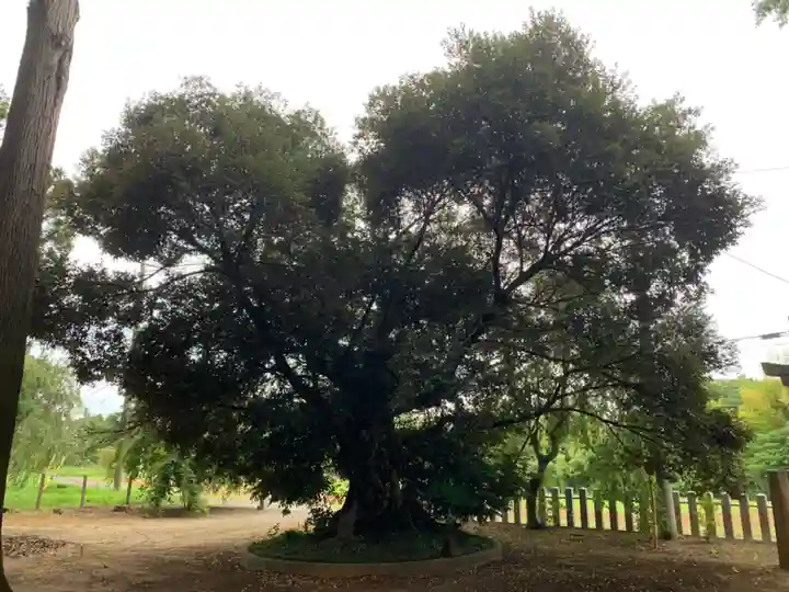 脇鷹神社(千葉県)