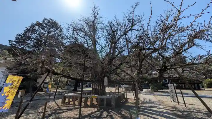誕生寺(岡山県)