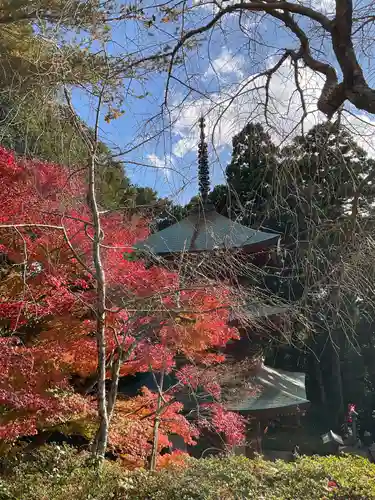 目の霊山　油山寺(静岡県)