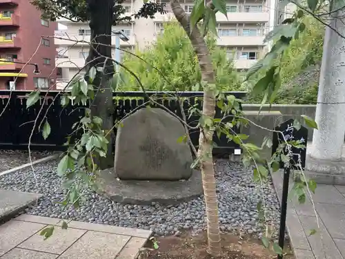熊野神社の歴史