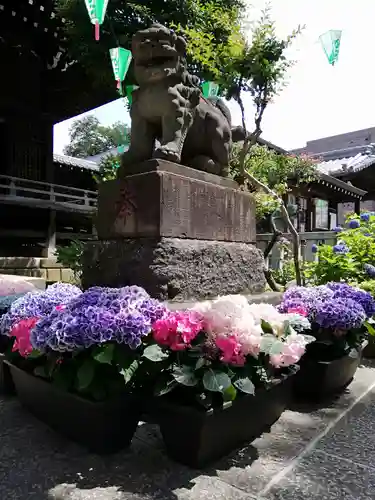 白山神社の狛犬