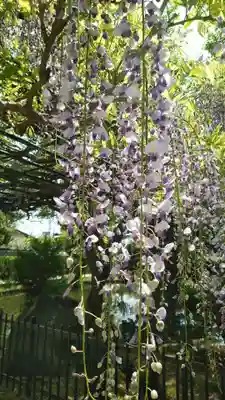 西大寺(奈良県)