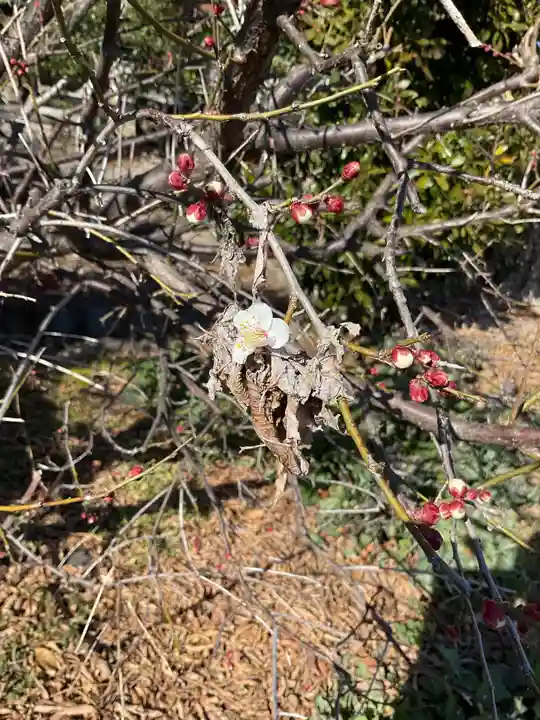 龍神社(愛知県)