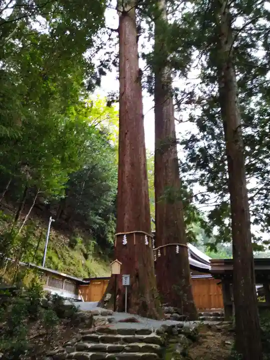 丹生川上神社(中社)(奈良県)