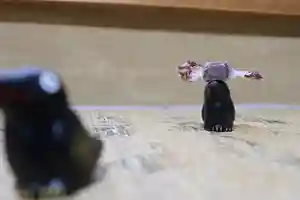 くまくま神社(導きの社 熊野町熊野神社)(東京都)(2023年02月14日(火) 18時56分19秒投稿)