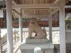 籠神社の狛犬