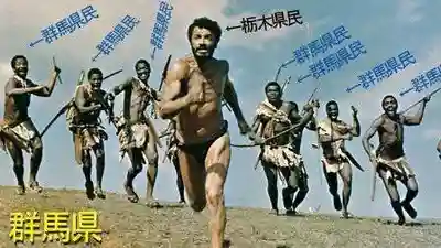 長良神社（邑楽町中野）(群馬県)