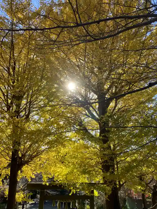 葛原岡神社(神奈川県)
