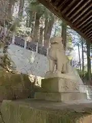 櫻山八幡宮の狛犬