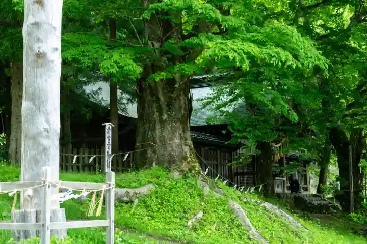 諏訪大社上社前宮(長野県)