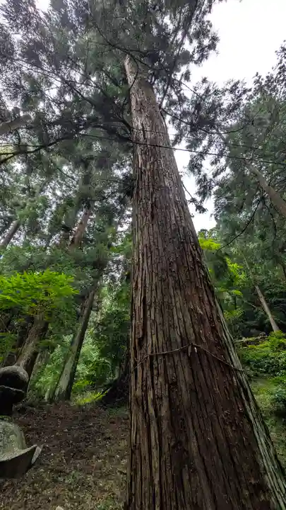 與喜天満神社(奈良県)