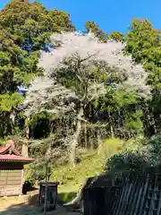 風巻神社(新潟県)