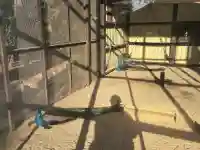 岩槻久伊豆神社の{uncategorized: "未分類", other: "その他", undefined: "問題あり", building: "その他建物", grave: "お墓", sacred_gate: "鳥居", guardian: "狛犬", statue: "像", buddha: "仏像", history: "歴史", nature: "自然", garden: "庭園", animal: "動物", pagoda: "塔", temizu: "手水舎", mountain_gate: "山門・神門", sanctuary: "本殿・本堂", subordinate: "末社・摂社", art: "芸術", scenery: "景色", jizo: "地蔵", ema: "絵馬", goshuin: "御朱印", omikuji: "おみくじ", items: "授与品その他", amulet: "お守り", goshuincho: "御朱印帳", eats: "食事", festival: "お祭り", votive_dance: "神楽", shichigosan: "七五三参", wedding: "結婚式", experience: "体験その他", initially: "初詣", around: "周辺", anti_infection: "感染症対策"}