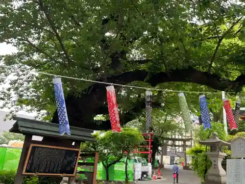 居木神社(東京都)