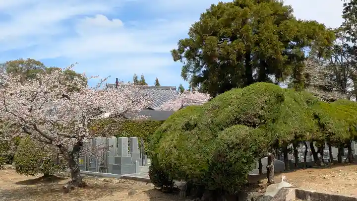 西迎寺(京都府)