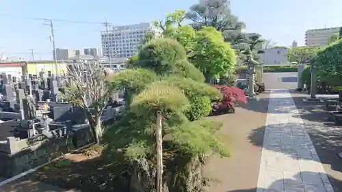 本光寺のその他建物