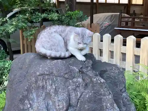 文殊院(東京都)