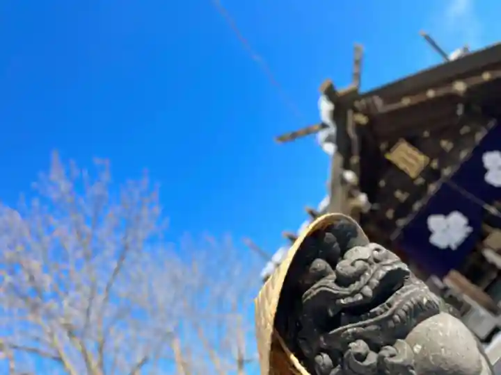 札幌諏訪神社の狛犬