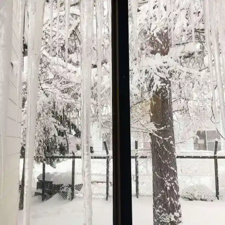 彌彦神社 (伊夜日子神社)の自然