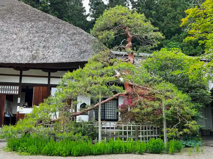 常楽寺(長野県)