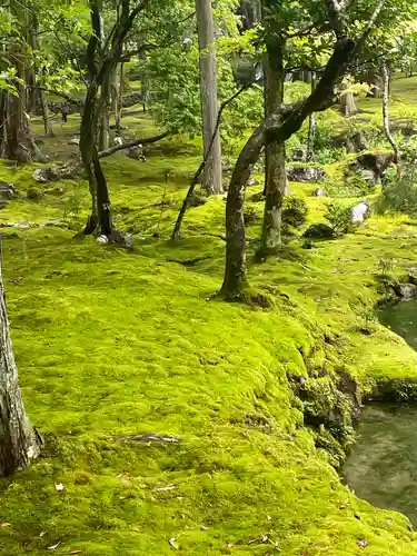 西芳寺(京都府)