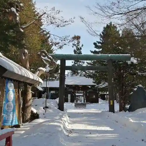 琴似神社の鳥居