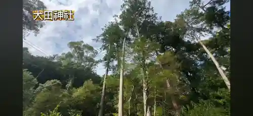 太田神社(京都府)