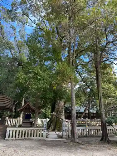 伊弉諾神宮(兵庫県)