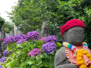 福王山 慈眼寺の地蔵(2024年08月30日(金) 10時49分02秒投稿)