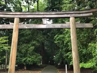 若狭彦神社（上社）の鳥居