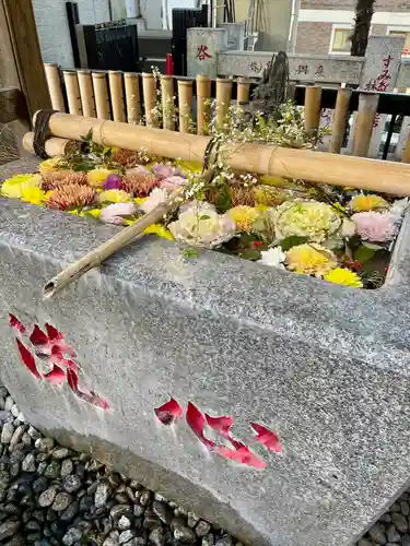 高円寺氷川神社の手水