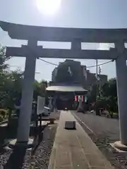 朝日氷川神社の鳥居