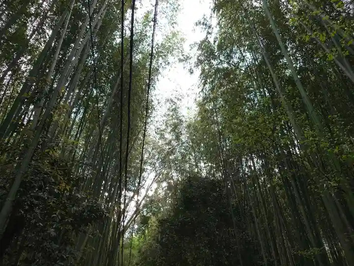 野宮神社(京都府)