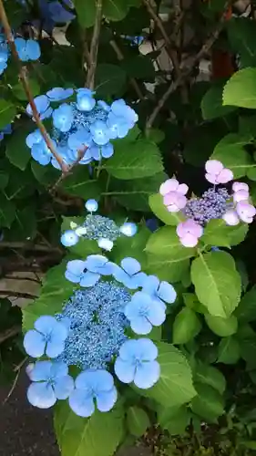 東本願寺(東京都)