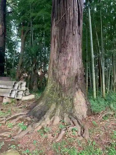 西御門神社の庭園