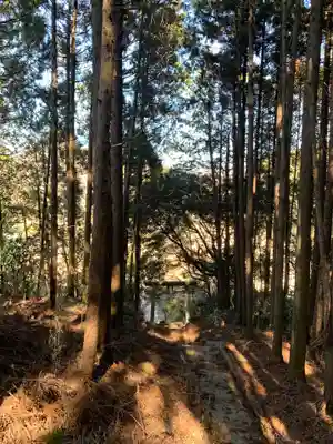 四所神社(千葉県)