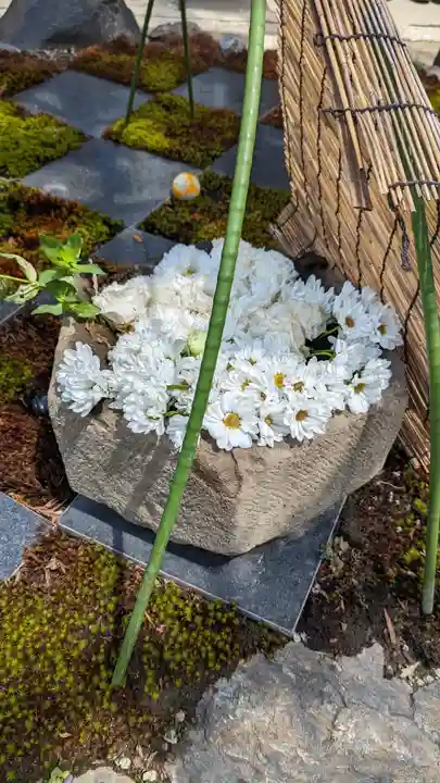 萬福寺(京都府)