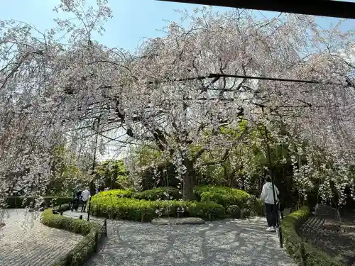 退蔵院(京都府)