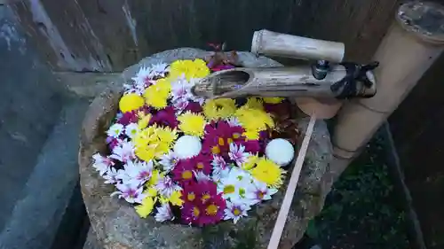 柳谷観音　楊谷寺の手水舎