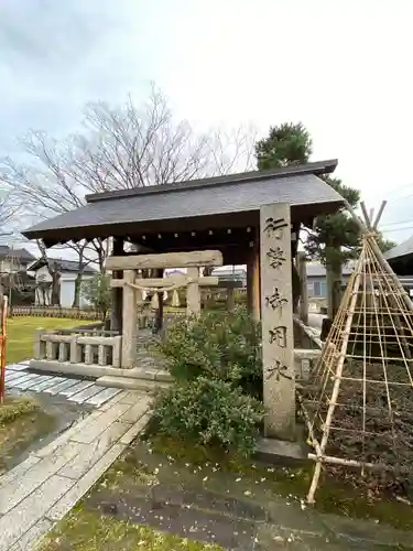 有礒正八幡宮のその他建物