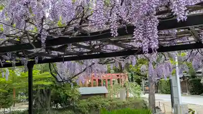 辛國神社(大阪府)