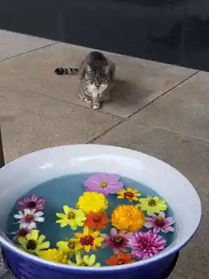 白金氷川神社(東京都)