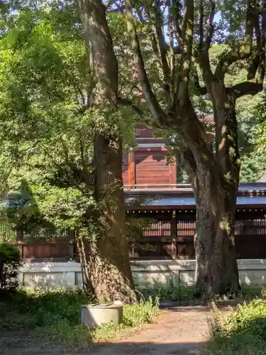 明治神宮(東京都)