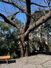 牛天神北野神社の建物その他